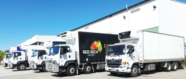 A Fresh Approach to Logistics: A Deep Dive into Dardania's Refrigerated Transport Solutions